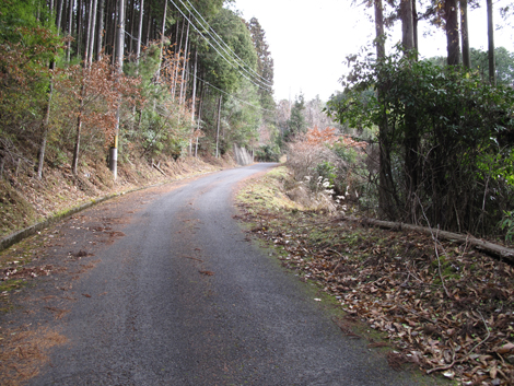 20140105hike (89)